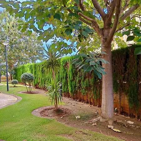 Apartment Mountain View With 2 Bedrooms & 2 Bathrooms Denia